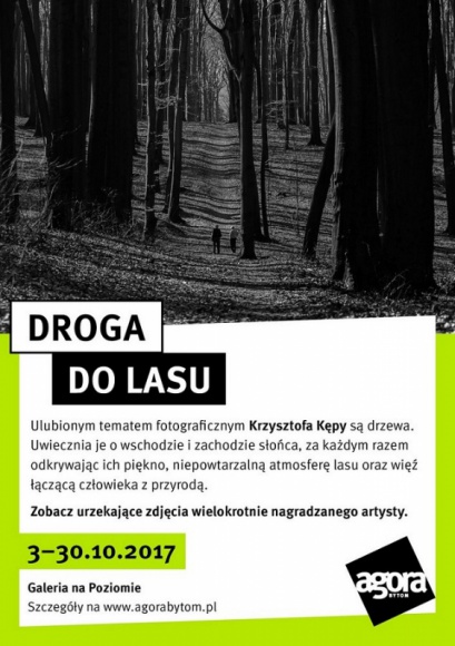 Mieszkaniec Katowic zachwyca zdjęciami przyrody. Zobacz „Drogę do lasu” Sztuka, LIFESTYLE - 47-letni mieszkaniec Katowic swoją pasję do robienia zdjęć łączy z miłością do przyrody. Wykonuje zachwycające fotografie drzew w bajecznym otoczeniu, opowiadając o przyjaźni przyrody i człowieka.