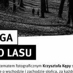 Mieszkaniec Katowic zachwyca zdjęciami przyrody. Zobacz „Drogę do lasu”