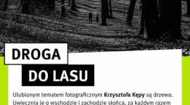 Mieszkaniec Katowic zachwyca zdjęciami przyrody. Zobacz „Drogę do lasu”