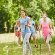 Nordic Walking – postaw na mądry ruch