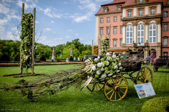 Chryzantema królową polskiej wiosny na Festiwalu Kwiatów i Sztuki w Zamku Książ Sztuka, LIFESTYLE - Chryzantema zdominowała florystyczne dekoracje XXX. Festiwalu Kwiatów i Sztuki w Zamku Książ.