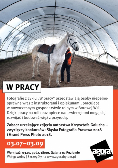 „W pracy” - zobacz nagradzane zdjęcia Krzysztofa Gołucha Sztuka, LIFESTYLE - Intrygujące światło, piękna przyroda i ważny społecznie projekt – to wyróżniki twórczości nagradzanego w kraju i za granicą śląskiego fotografa Krzysztofa Gołucha. Wernisaż wystawy jego zdjęć „W pracy” odbędzie się 3 lipca w Agorze Bytom. Wstęp wolny.