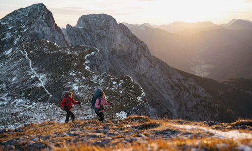 Z alpejskich szczytów do Polski: marka Northland dostępna w GO Sport